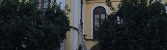 COMUNIDAD DE PROPIETARIOS MIGUEL DE CERVANTES Nº 3, ECIJA